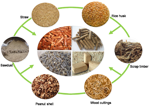 All About Biomass