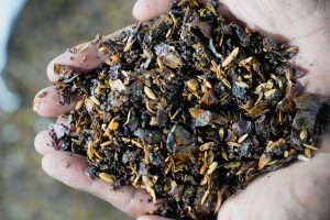 Astillas low ash content